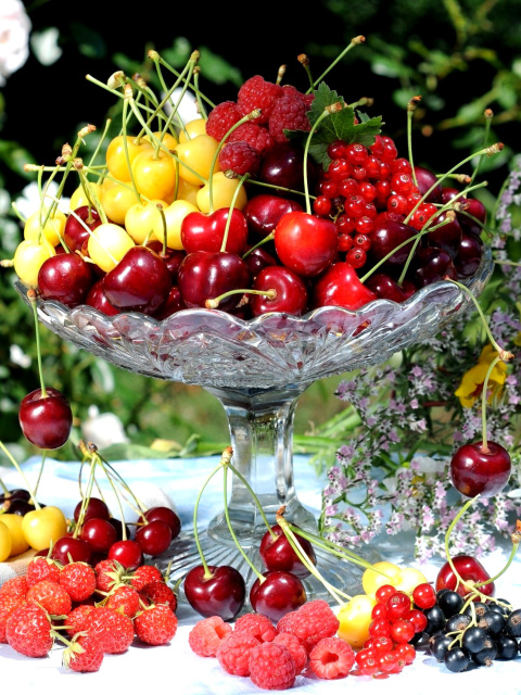 Fondo de pantalla Summer berries and harvest 480x640