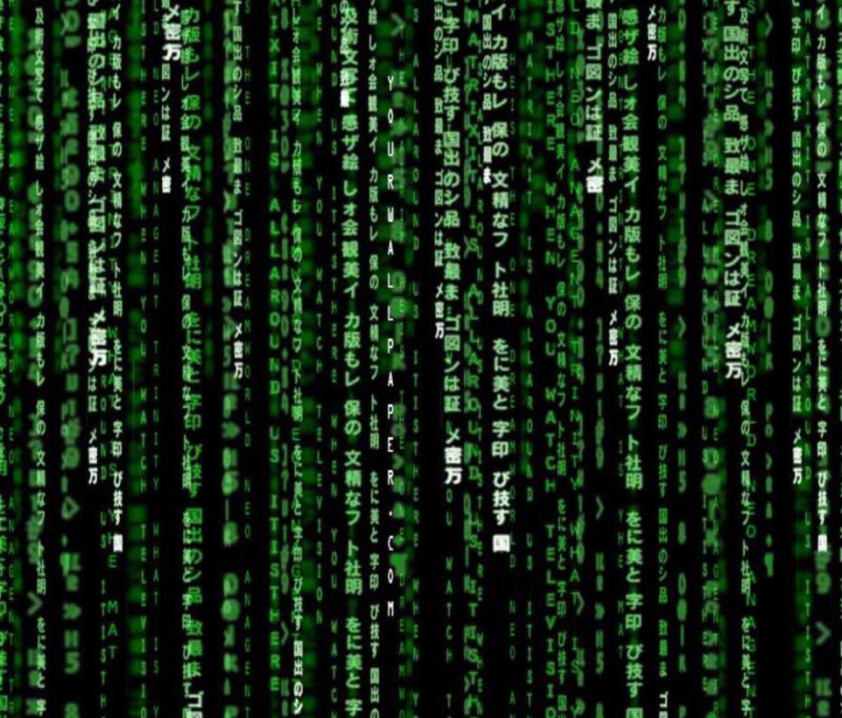 Das Matrix Code Wallpaper 1200x1024