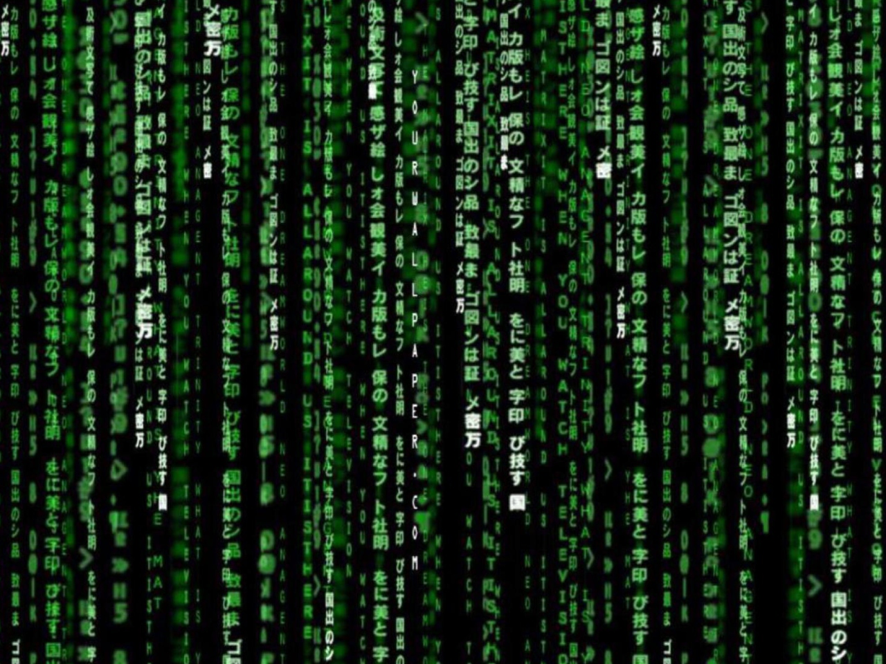Das Matrix Code Wallpaper 1280x960
