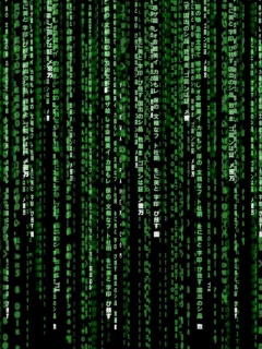 Matrix Code wallpaper 240x320