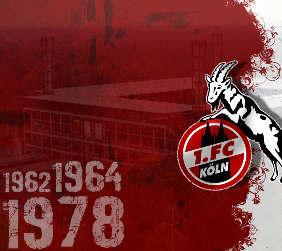 Das 1.  FC Koln Wallpaper 1080x960