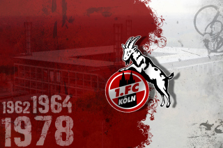 1.  FC Koln Background for Android, iPhone and iPad
