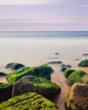 Stones Near Sea screenshot #1 176x220
