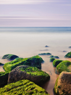 Stones Near Sea screenshot #1 240x320