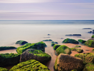 Stones Near Sea screenshot #1 320x240