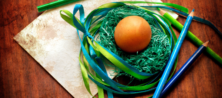 Das Egg In Nest Wallpaper 720x320