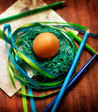 Egg In Nest Wallpaper for Nokia Asha 311