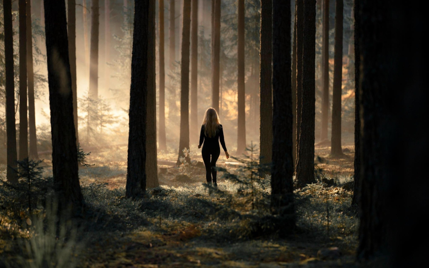 Girl In Forest wallpaper 1440x900