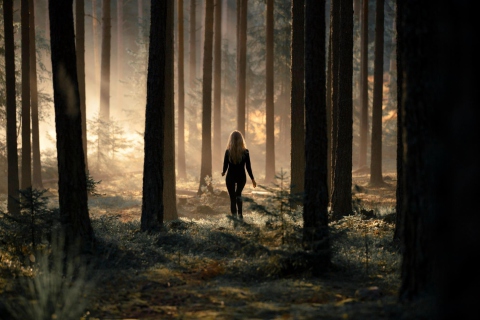 Girl In Forest wallpaper 480x320