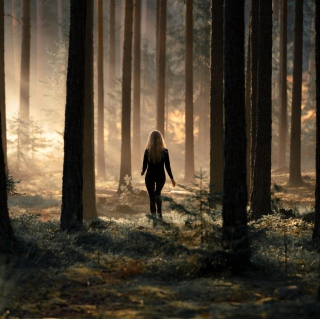 Kostenloses Girl In Forest Wallpaper für 208x208