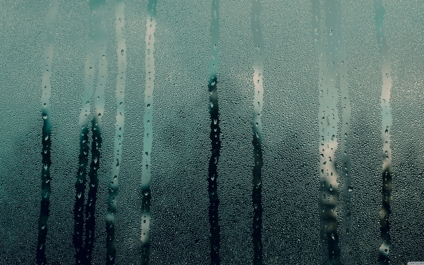 Steamy Window screenshot #1 1440x900