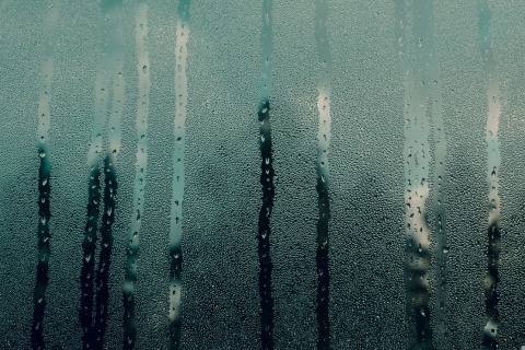 Das Steamy Window Wallpaper 480x320
