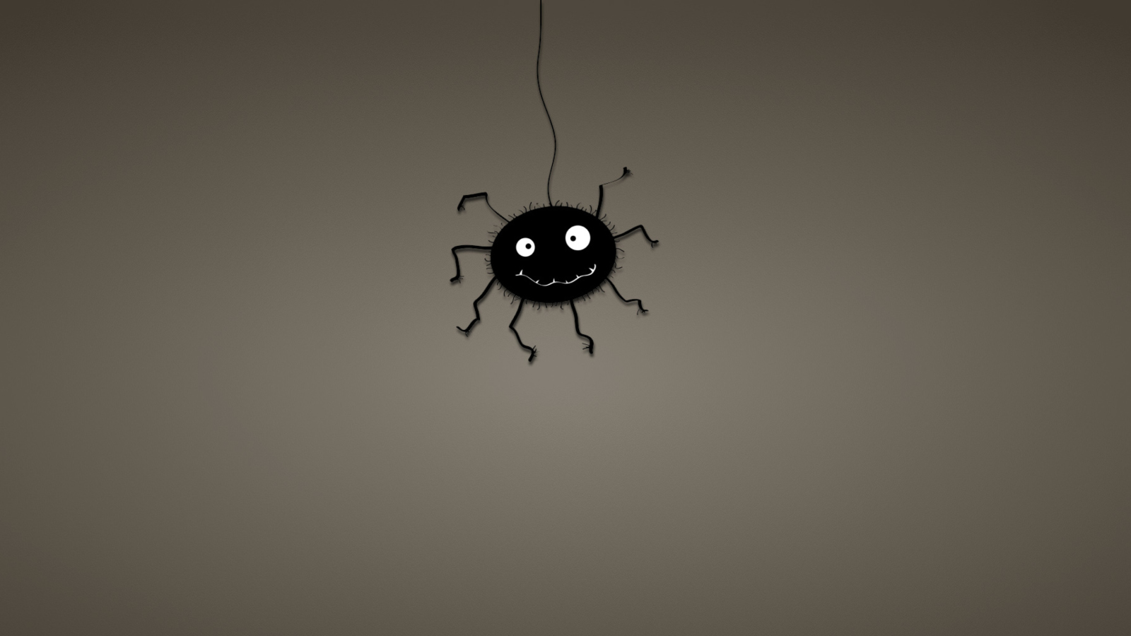 Funny Spider wallpaper 1600x900