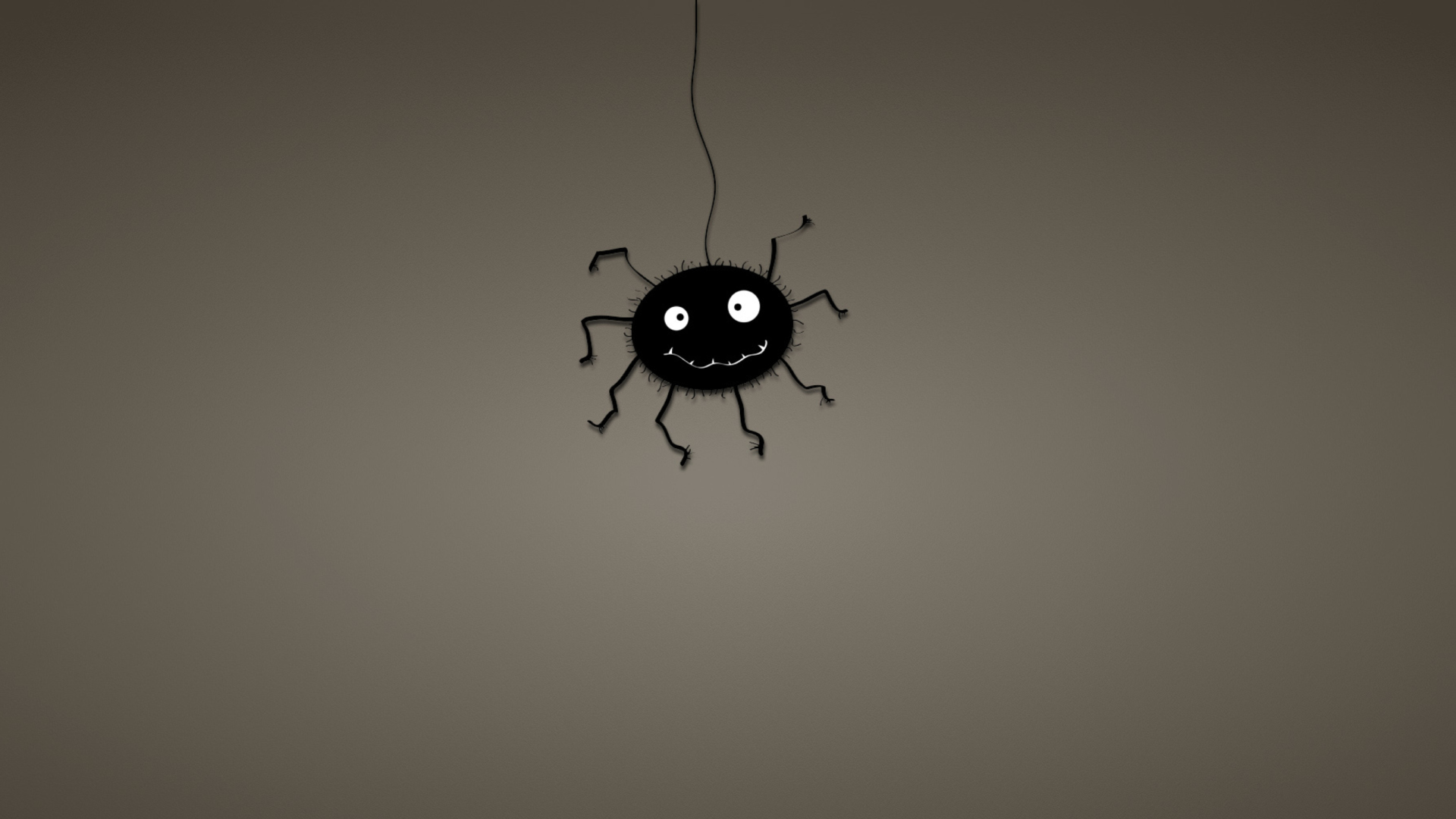 Fondo de pantalla Funny Spider 1920x1080