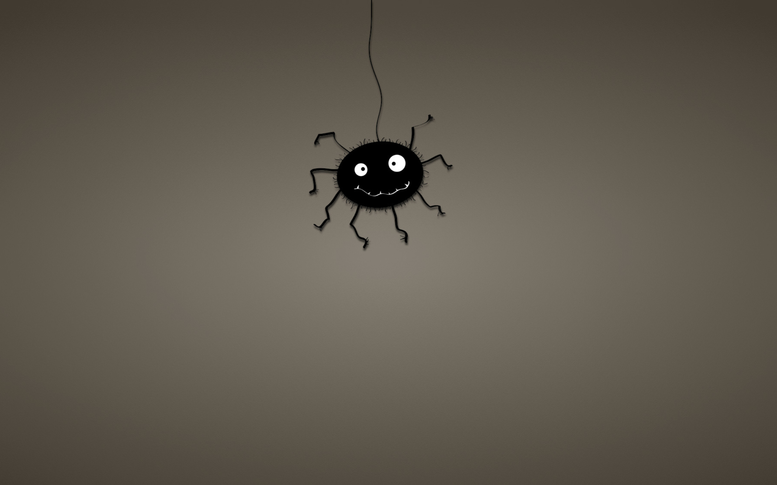 Funny Spider wallpaper 2560x1600