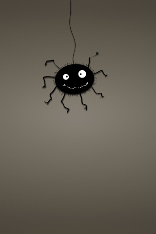 Fondo de pantalla Funny Spider 320x480