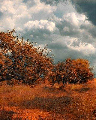 Armenia Byurakan - Obrázkek zdarma pro Nokia Lumia 920