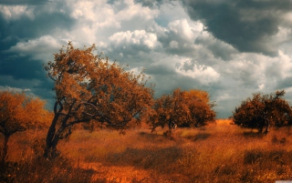 Armenia Byurakan - Obrázkek zdarma 