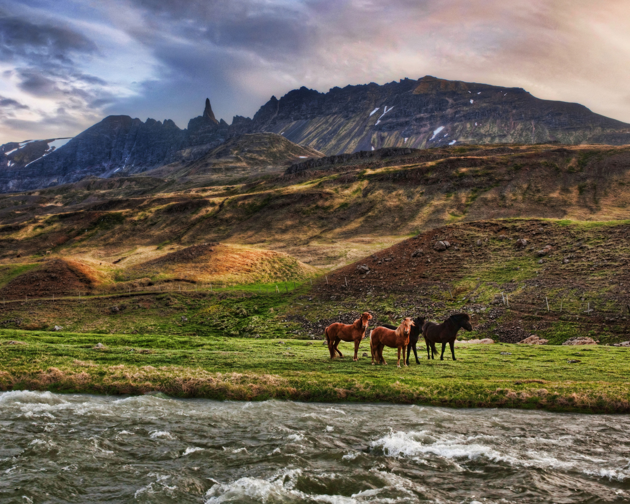 Fondo de pantalla Landscape In Iceland And Horses 1280x1024