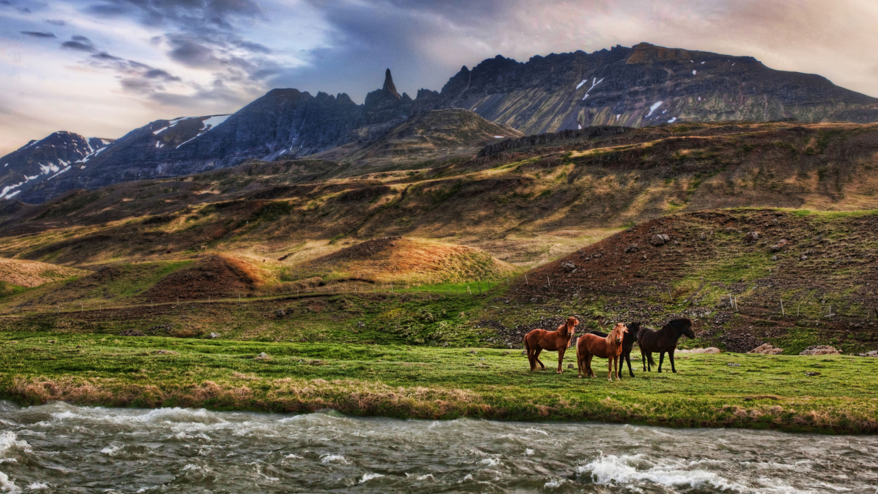 Screenshot №1 pro téma Landscape In Iceland And Horses 1280x720