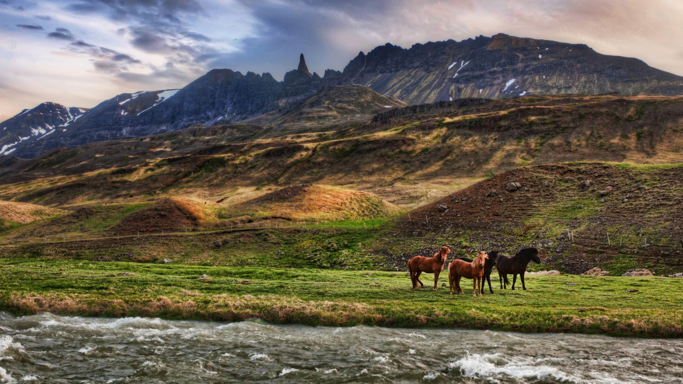 Screenshot №1 pro téma Landscape In Iceland And Horses 1366x768