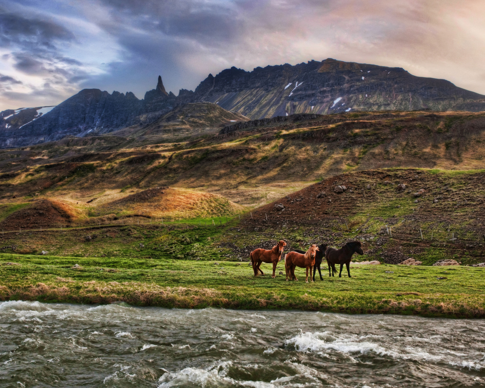 Sfondi Landscape In Iceland And Horses 1600x1280