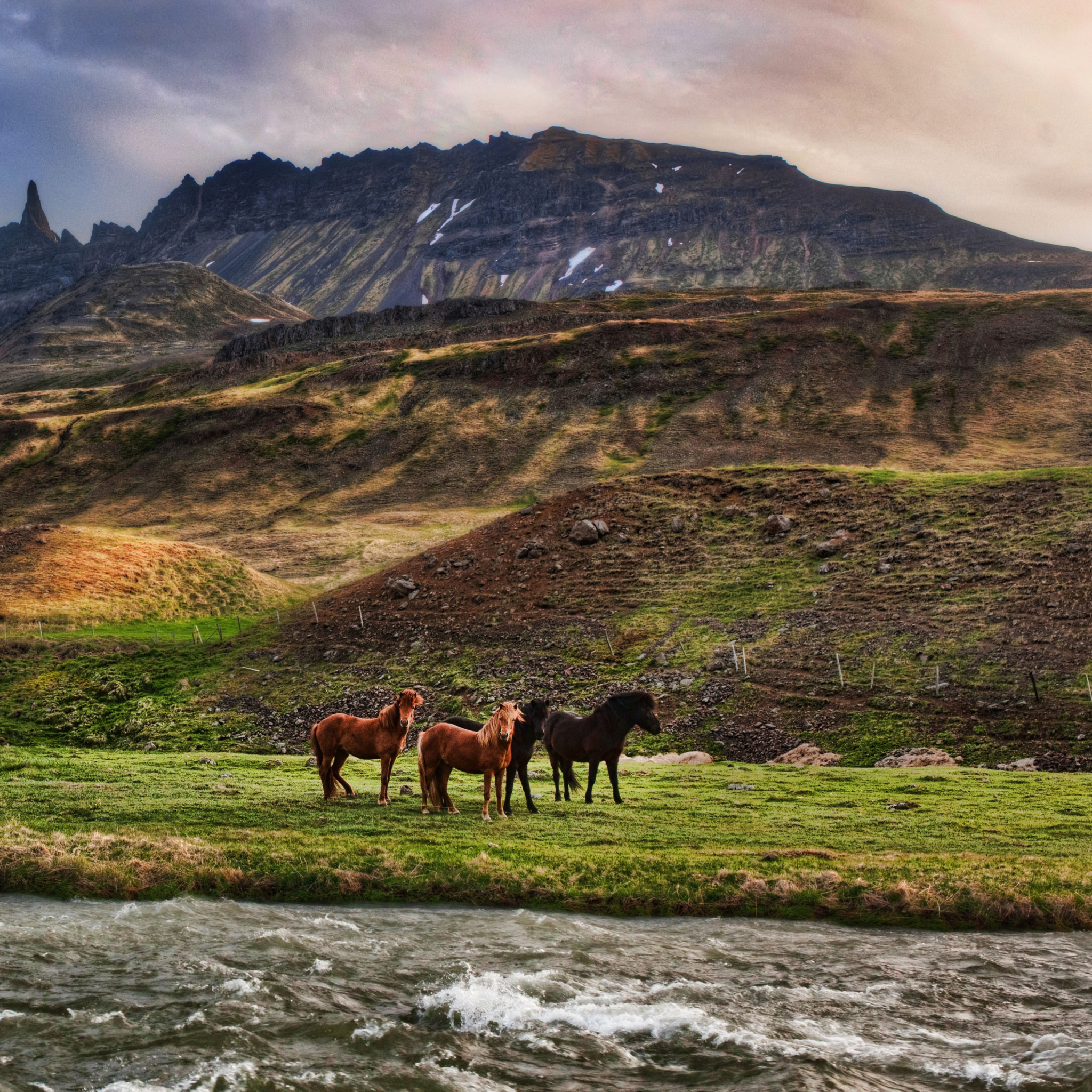 Fondo de pantalla Landscape In Iceland And Horses 2048x2048