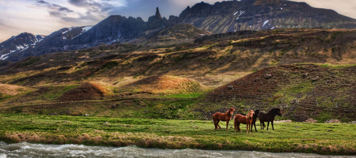 Das Landscape In Iceland And Horses Wallpaper 720x320