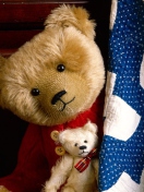 Обои Teddy Smile 132x176
