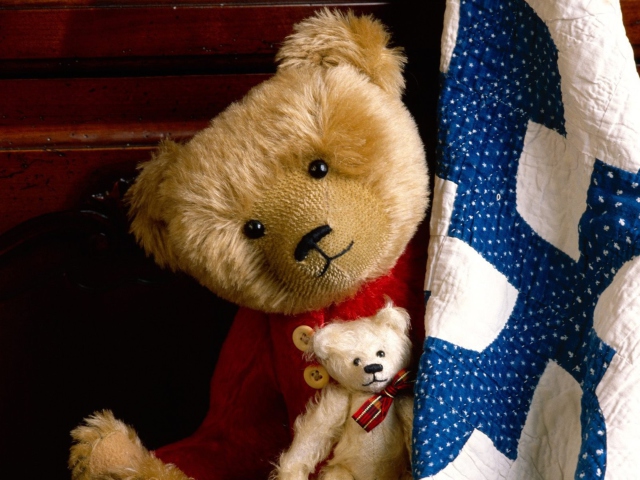 Обои Teddy Smile 640x480