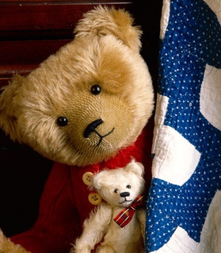 Free Teddy Smile Picture for Nokia C2-02