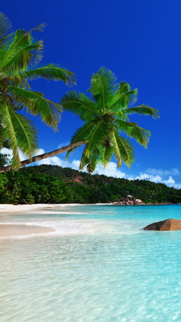 Turks and Caicos Islands Coast screenshot #1 360x640