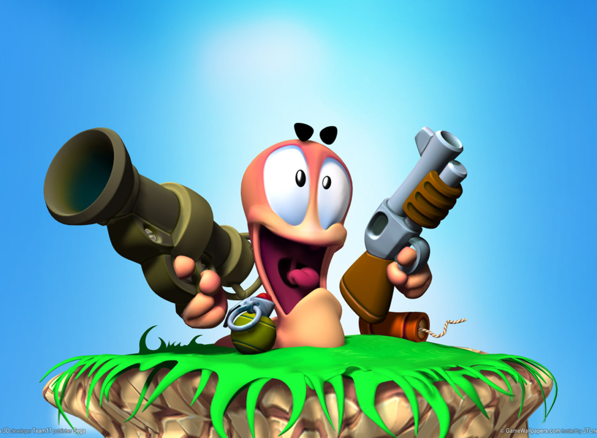 Worms Games wallpaper 1920x1408
