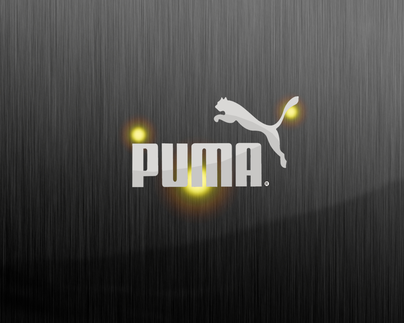 Fondo de pantalla Puma 1600x1280