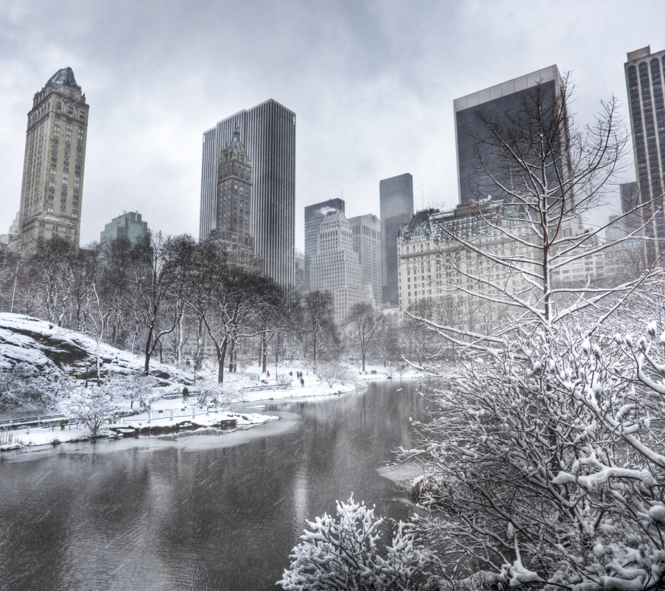 Central park - Manhattan wallpaper 960x854