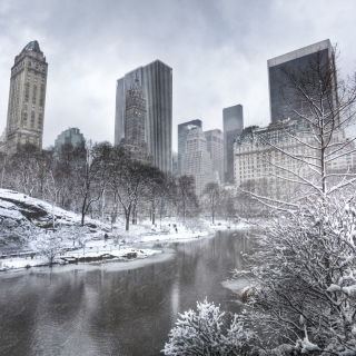 Central park - Manhattan sfondi gratuiti per iPad Air