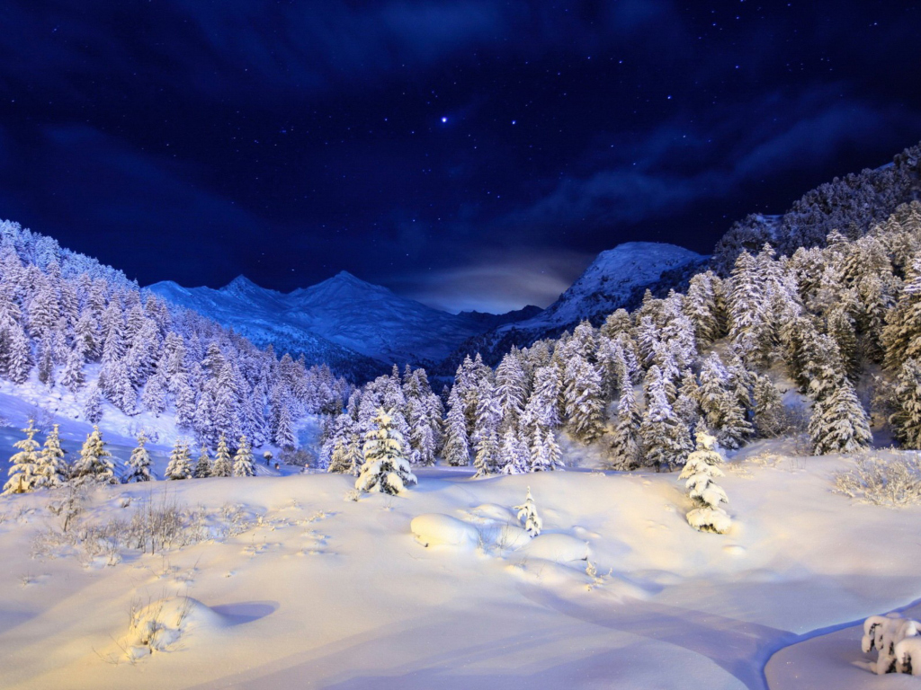 Forest In Winter screenshot #1 1024x768