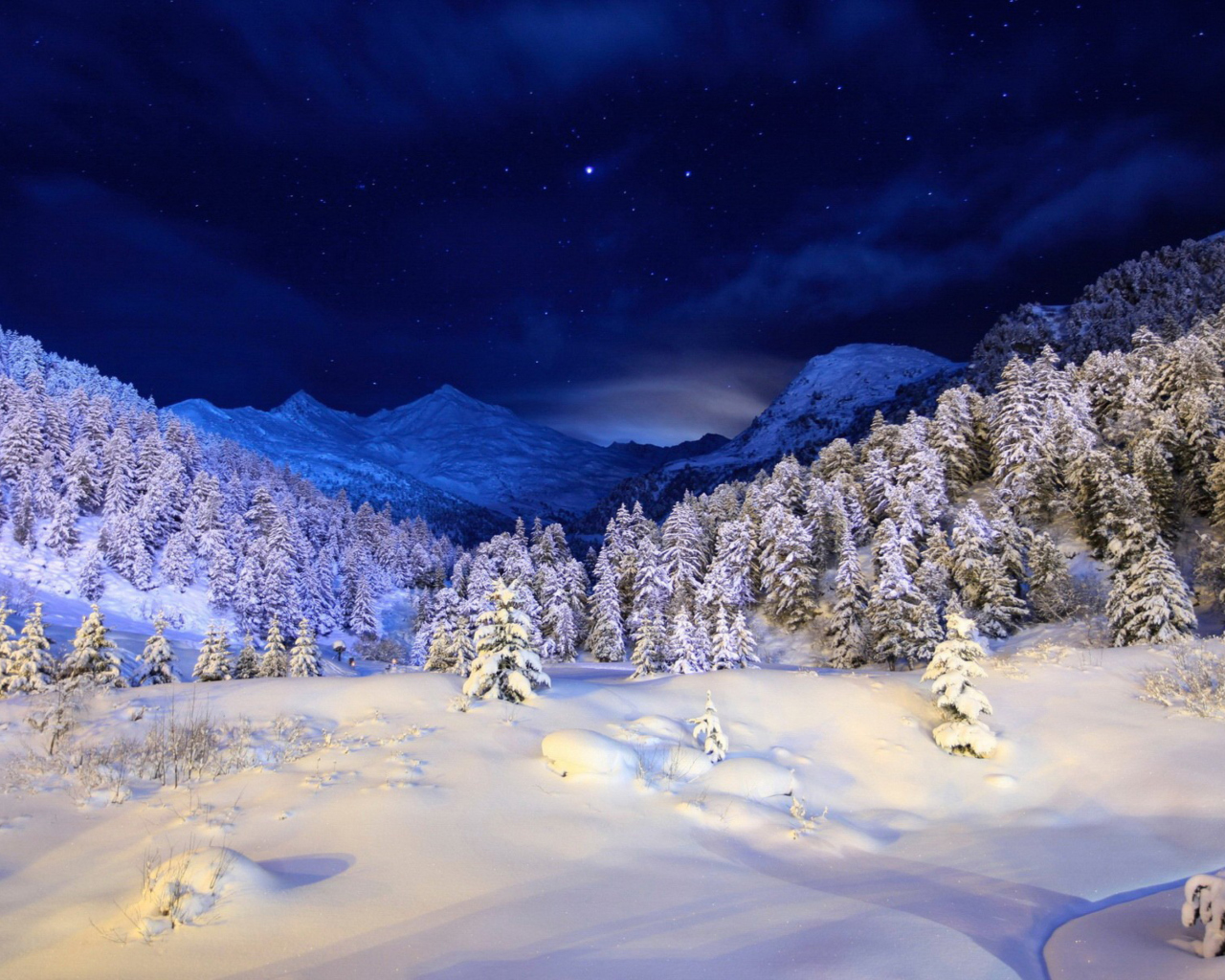 Forest In Winter screenshot #1 1280x1024