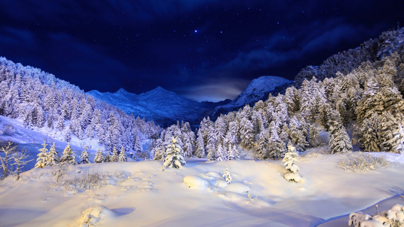 Screenshot №1 pro téma Forest In Winter 1366x768