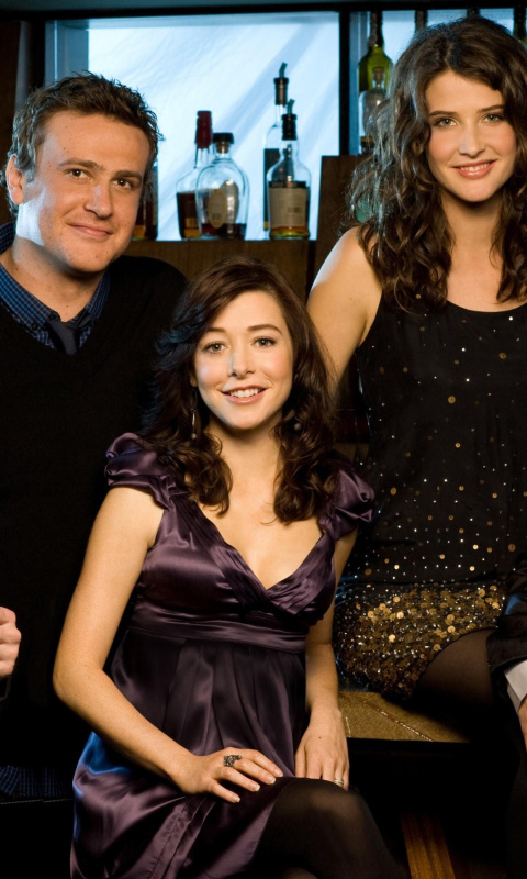 Das How I Met Your Mother in Bar Wallpaper 480x800