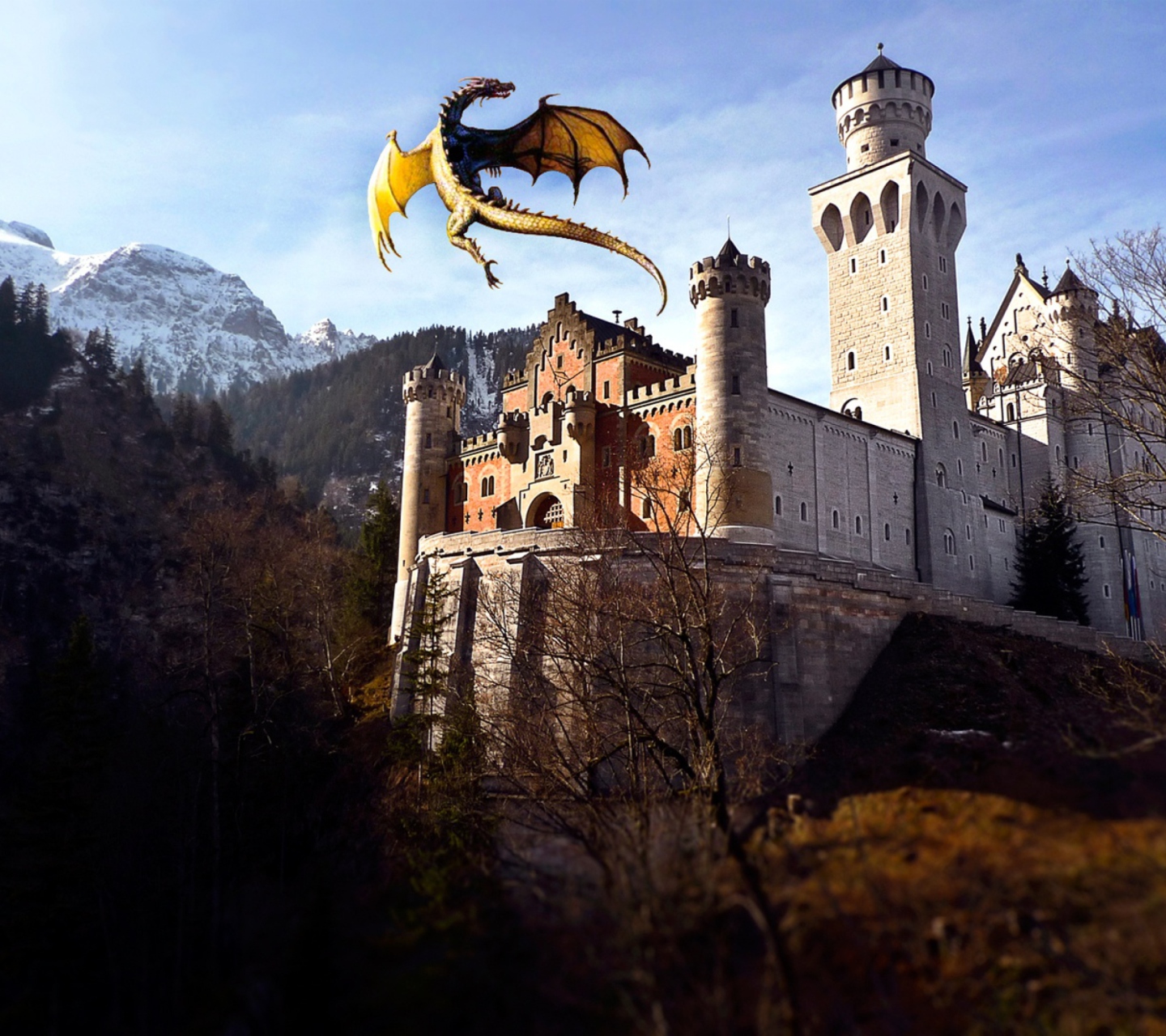 Das Dragon Flying Wallpaper 1440x1280