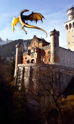 Das Dragon Flying Wallpaper 240x400