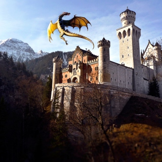 Free Dragon Flying Picture for 208x208