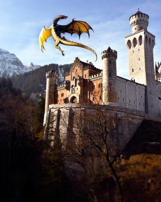 Dragon Flying - Obrázkek zdarma pro Nokia C7