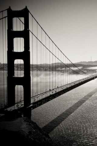 Bridge In The Fog screenshot #1 320x480
