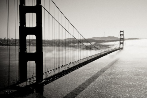 Bridge In The Fog screenshot #1 480x320