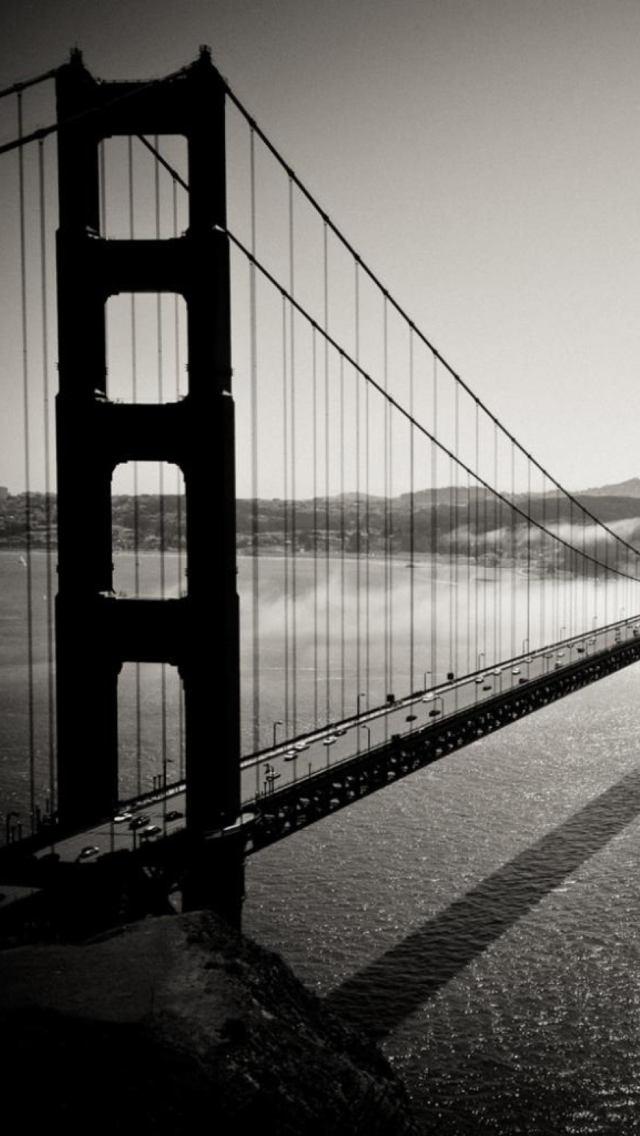 Bridge In The Fog screenshot #1 640x1136