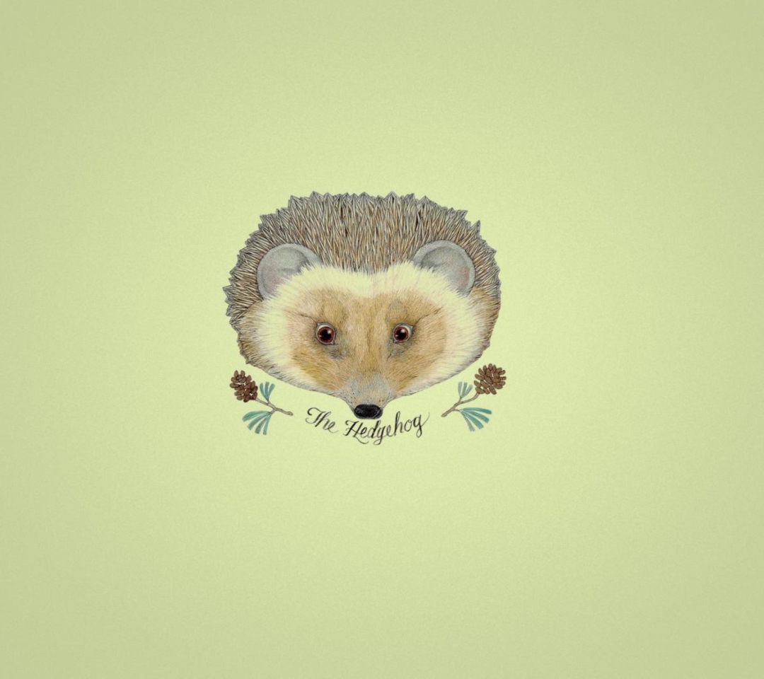 Hedgehog wallpaper 1080x960