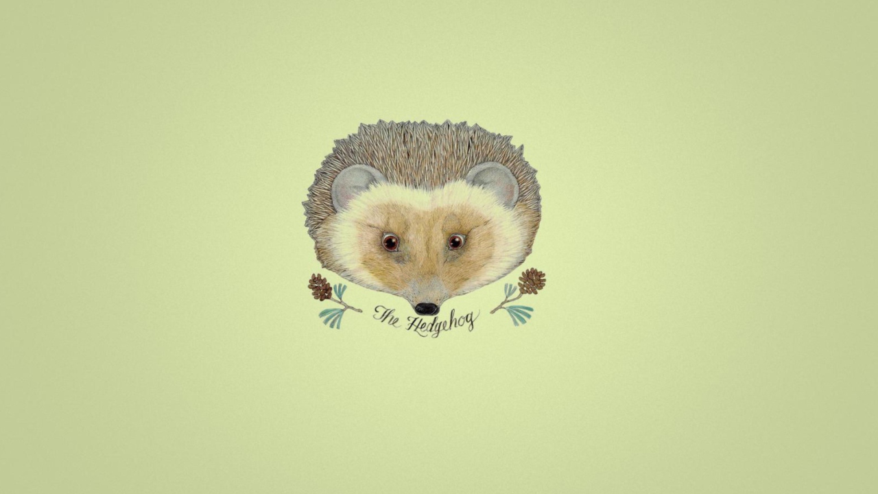 Hedgehog wallpaper 1280x720