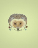 Hedgehog wallpaper 128x160